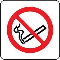 No Smoking Sign - Pictorial - Self Adhesive Vinyl Or Plastic