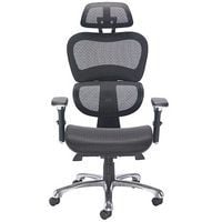 Moon Mesh HB Lumbar Chair