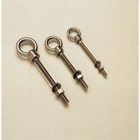 Stainless Steel Eyebolts for Secure Fastening and Lifting