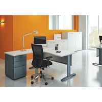 assembly includes a compact desk with left-return pedestal and modesty panelassembly includes two low cabinets and two mid-high cabinets