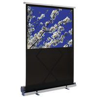 Projector screen