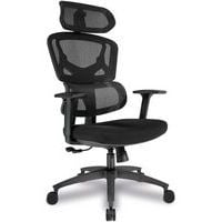 Black High Back Mesh Executive Office Chair - Adjustable Arms -Trinity