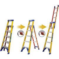 Werner Fibreglass Extension/Platform Ladder - 10 Steps - Professional