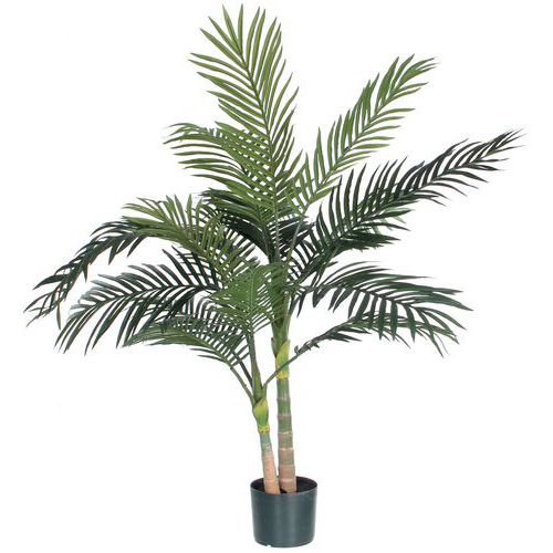 Areca/Golden cane palm 120 cm - Vepabins