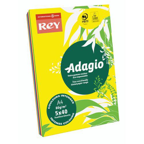 Adagio 200-sheet ream - Assorted colours - 80 gsm