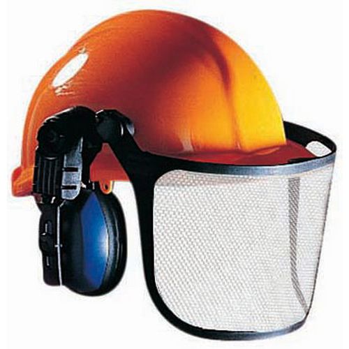 Spare mesh visor