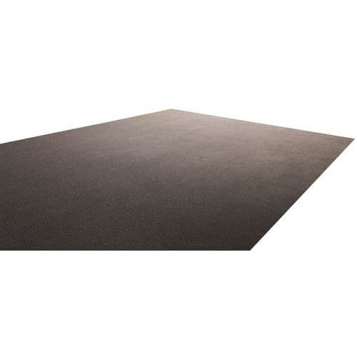 Abrasive and absorbent entrance mat - Manutan Expert