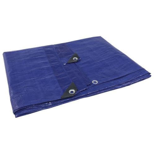 Single Use Protective Tarpaulin