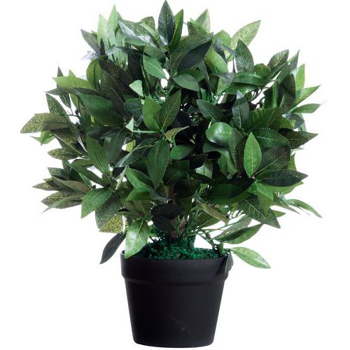 Artificial laurel plant