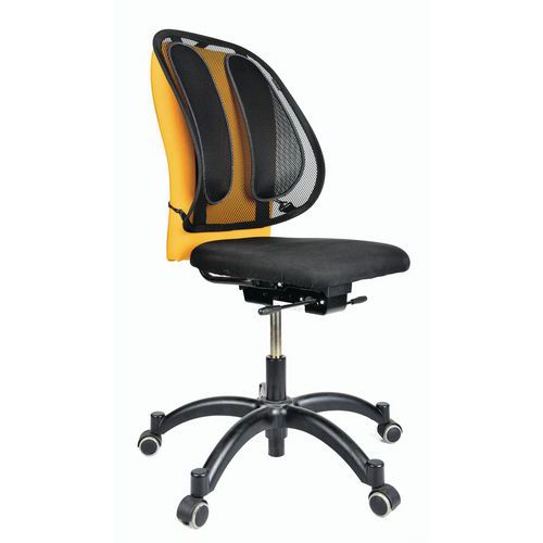 Ergonomic mesh back support - Fellowes