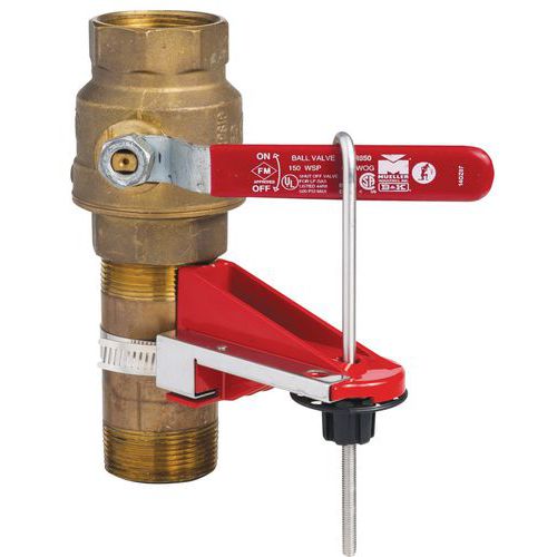 Semi-permanent valve locking system - Brady