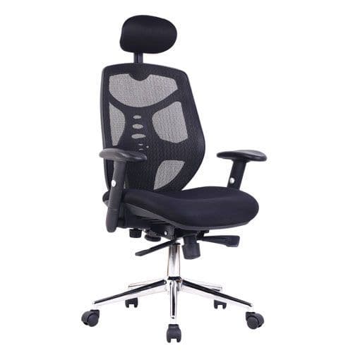 Mesh Office Chair - Ergonomic & With Headrest - Eliza Tinsley Polaris