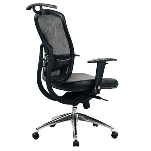 Mesh Executive Office Chair - High Back - Eliza Tinsley Sputnik