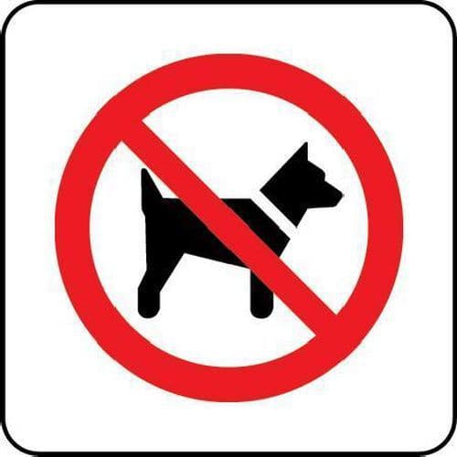 No Dogs Pictorial Sign