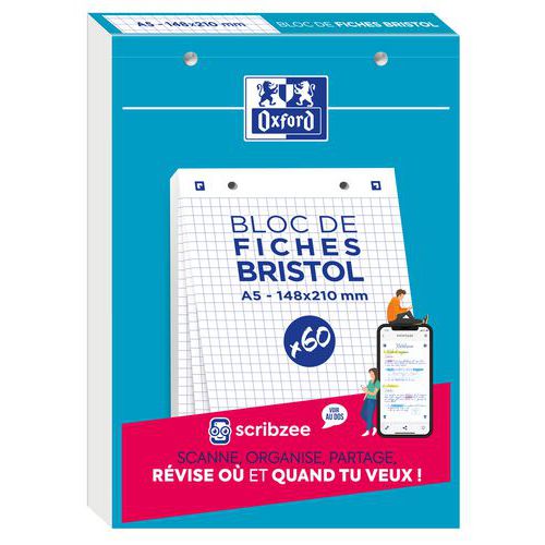 Oxford pad of flashcards 148x210, 30 punched cards, 5x5 squared - Oxford