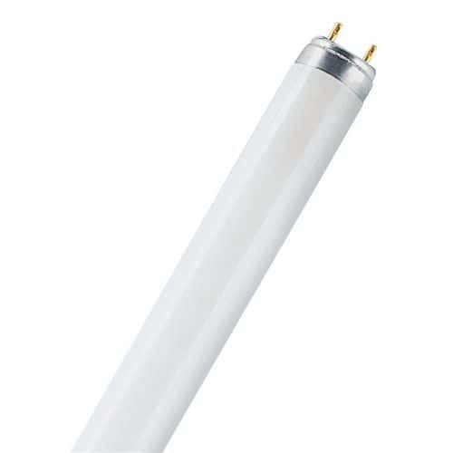 Fluorescent tube - Lumilux T8 18 W - Osram