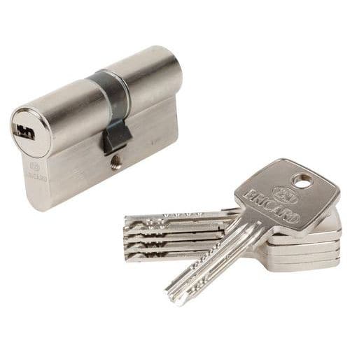 Astral cylinder lock - Bricard