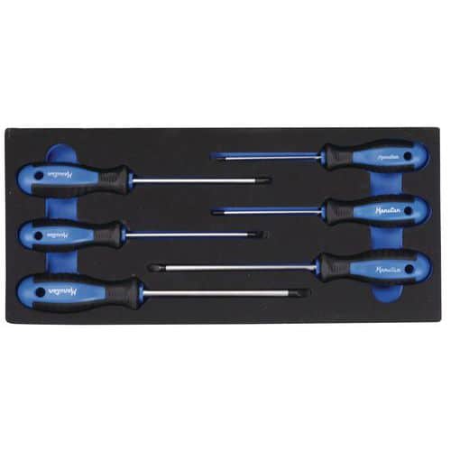 1/3 module with 6 screwdrivers - Manutan Expert