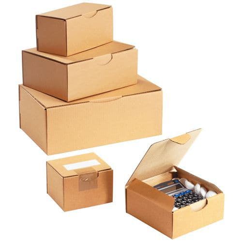 Multi-use kraft cardboard shipping box - With tongue - Havana