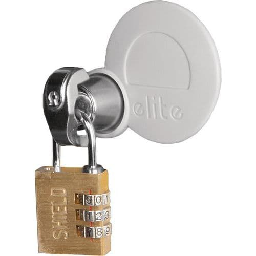 Hasp Lock for Elite Antibacterial Lockers