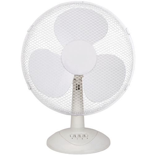 Desk Fan - 3 Speed - 12 Inch