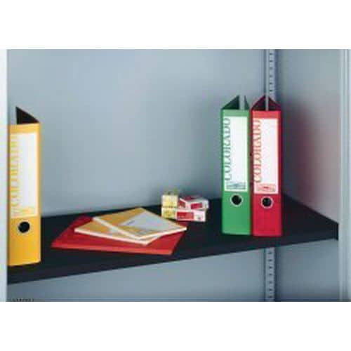 Bisley Qube Cupboard Shelf Accessory - Dynamic
