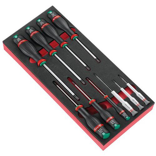 Foam module with 10 Protwist® screwdrivers
