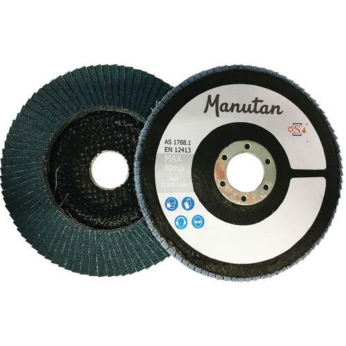 Curved flap discs Ø 125 mm - Manutan Expert